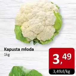 Market Point Kapusta młoda Market Point oferta
