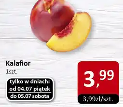 Market Point Nektarynka Kalafior Market Point oferta