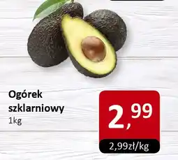 Ogórek szklarniowy Market Point