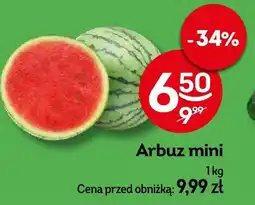 Żabka Arbuz mini Żabka oferta