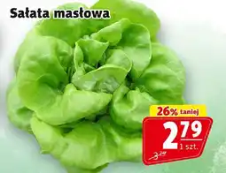Prim Market Sałata masłowa Prim Market oferta