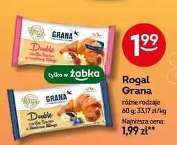 Żabka Rogal Grana oferta