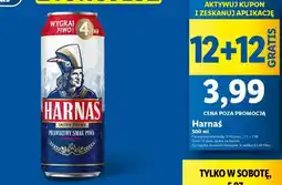 Lidl Harnaś oferta
