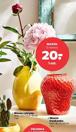 Netto Wazon S! oferta