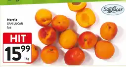 Intermarche Morela San Lucar luz oferta