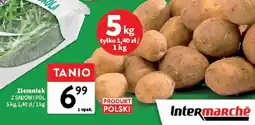 Intermarche Ziemniak Z sadów i pól oferta