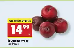 Biedronka Śliwka 1 kg Biedronka oferta