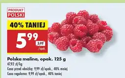 Biedronka Malina polska, 1 opak. Biedronka oferta