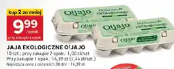Stokrotka Jajka ekologiczne Oljajo oferta