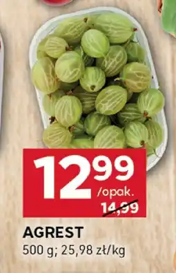 Stokrotka Agrest Stokrotka oferta
