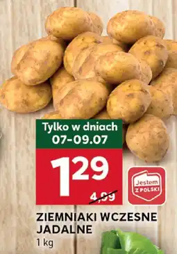 Stokrotka Ziemniaki wczesne jadalne Stokrotka oferta