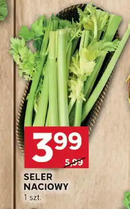 Stokrotka Seler naciowy Stokrotka oferta