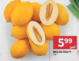 Stokrotka Melon żółty Stokrotka oferta
