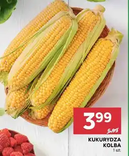 Stokrotka Kukurydza kolba Stokrotka oferta