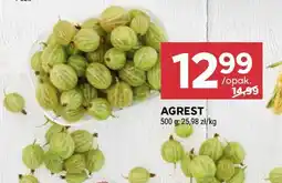 Stokrotka Agrest Stokrotka oferta