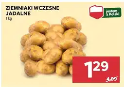 Stokrotka Ziemniaki wczesne jadalne Stokrotka oferta