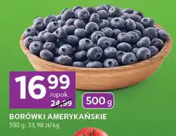 Stokrotka Express Borówki amerykańskie oferta