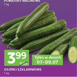 Stokrotka Express Ogórki szklarniowe oferta