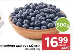 Stokrotka Market Borówki amerykańskie oferta