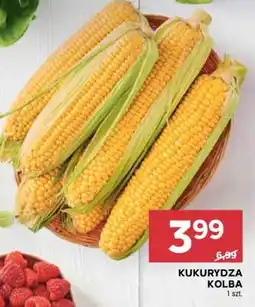 Stokrotka Market Kukurydza kolba oferta