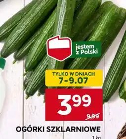 Stokrotka Market Ogórki szklarniowe oferta