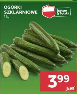 Stokrotka Market Ogórki szklarniowe oferta