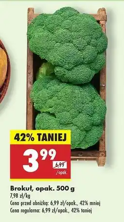 Biedronka Brokuł opak 500 g oferta