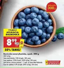 Biedronka Borówka amerykańska opak 300 g oferta