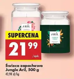 Biedronka Świeca zapachowa Jungle Aril, 500 g oferta
