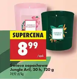 Biedronka Świeca zapachowa Jungle Aril, 30 h, 120 g oferta