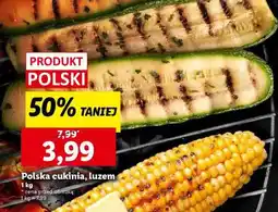Lidl Polska cukinia, luzem oferta