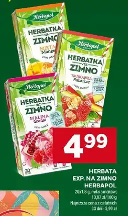Stokrotka Herbata ekspresowa na zimno Herbapol oferta