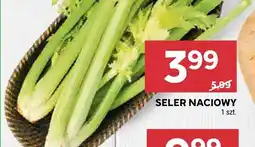 Stokrotka Seler naciowy Stokrotka oferta