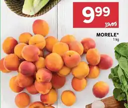 Stokrotka Morele Stokrotka oferta