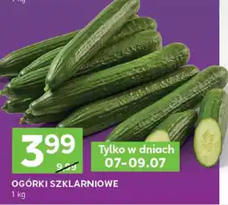 Stokrotka Ogórki szklarniowe Stokrotka oferta