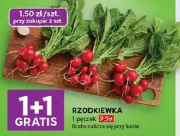 Stokrotka Rzodkiewka Stokrotka oferta