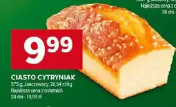 Stokrotka Ciasto cytryniak Stokrotka oferta
