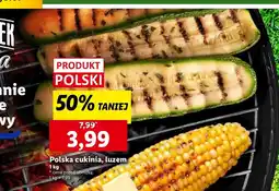 Lidl Cukinia Polski oferta