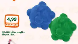 Maxi Zoo FIT+FUN piłka zmyłka dla psa oferta