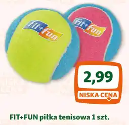 Maxi Zoo FIT+FUN piłka tenisowa oferta
