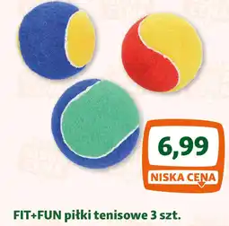 Maxi Zoo FIT+FUN piłki tenisowe oferta