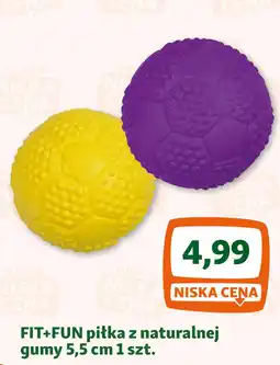 Maxi Zoo FIT+FUN piłka z naturalnej gumy oferta