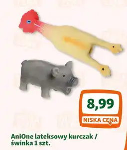 Maxi Zoo AniOne lateksowy kurczak / świnka oferta