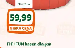 Maxi Zoo FIT+FUN basen dla psa oferta