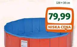 Maxi Zoo FIT+FUN basen dla psa oferta