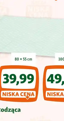 Maxi Zoo AniOne mata chłodząca Breeze oferta