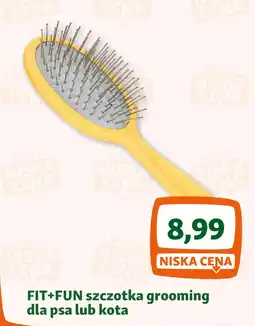 Maxi Zoo FIT+FUN szczotka grooming dla psa lub kota oferta