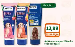Maxi Zoo AniOne szampon oferta