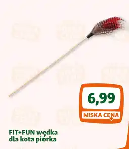 Maxi Zoo FIT+FUN wędka dla kota piórka oferta