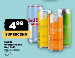 Netto Napój energetyczny kaktus Red Bull The Summer Edition oferta